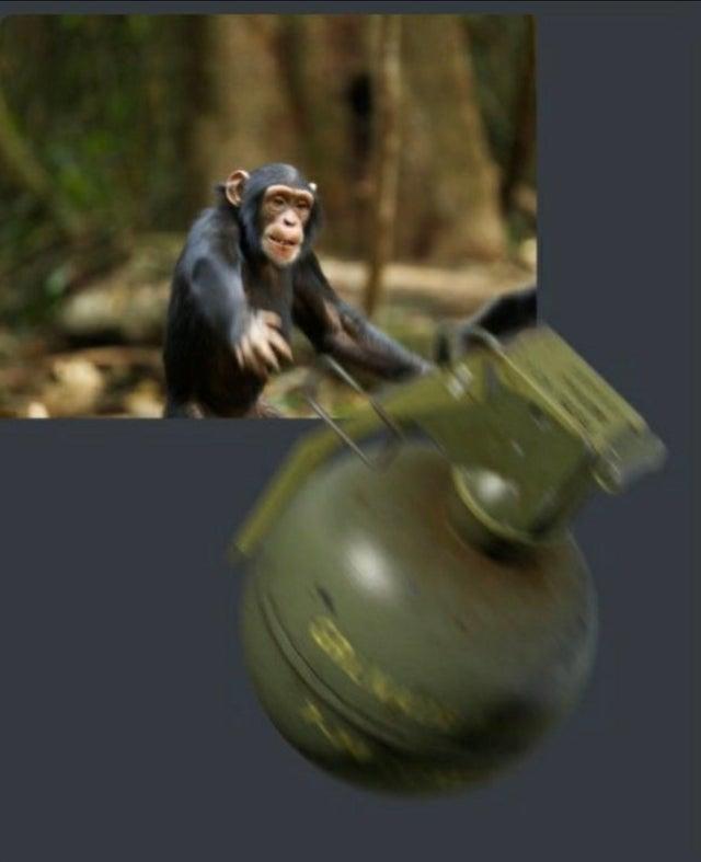 6c4.jpg